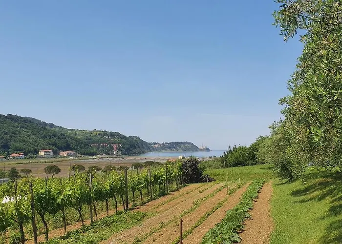 Apartma Nana Strunjan Appartement *